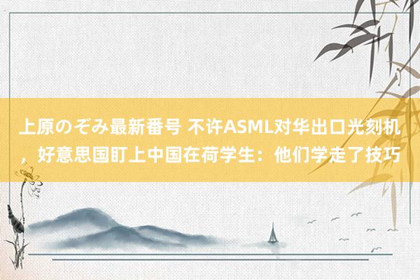 上原のぞみ最新番号 不许ASML对华出口光刻机，好意思国盯上中国在荷学生：他们学走了技巧